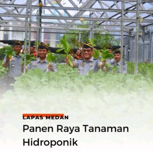 Lapas Kelas I Medan Panen Raya Tanaman Hidroponik