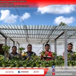 Panen Raya Tanaman Hidroponik Lapas Pematang Siantar: Program Ketahanan Pangan Pemasyarakatan