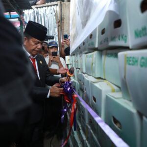 Perdana! Export Fresh Ginger Simalungun-  Dubai