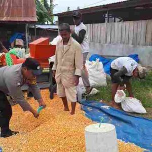Dukung Ketapang, Bhabinkamtibmas Polsek Siantar Marihat Hadir Bersama Petani Binaaan