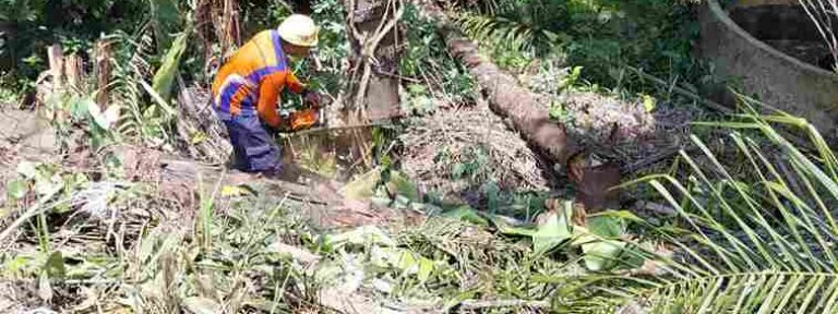 KAI Sumut Pangkas Pohon di 330 Titik Jalur KA Antisipasi Meningkatnya Curah Hujan
