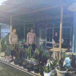 Tinjut Laporan CC 110, Polsek Siantar Selatan Cek TKP Dugaan KDRT