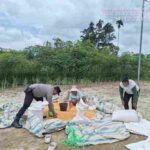 Bhabinkamtibmas Polsek Siantar Marihat Bantu Cek Kadar Air Jagung Petani Binaan ke Bulog Pematangsiantar