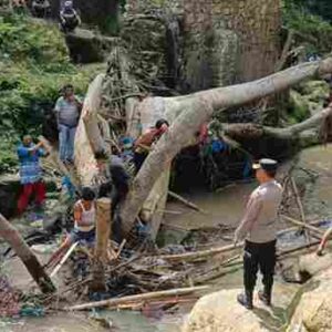 Respon Cepat Polsek Tanah Jawa Kerahkan Tim Pencarian Warga Hilang, Diduga Hanyut Saat Lintasi Jembatan Bambu Sungai Bah Tongguran