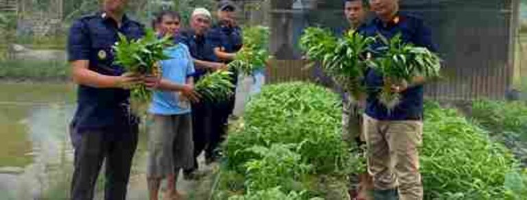 Panen 65 Kilogram Kangkung, Rutan Tanjung Pura Distribusikan Hasil Panen Dukung Penuh Ketahanan Pangan Nasional