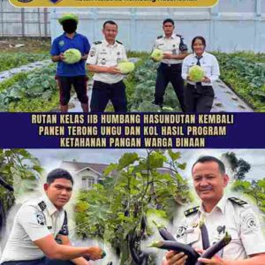 Rutan Kelas IIB Humbang Hasundutan Kembali Panen Terong Ungu dan Kol Hasil Program Ketahanan Pangan Warga Binaan