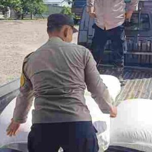Bhabinkamtibmas Polsek Siantar Martoba Dampingi Penjualan Hasil Panen Jagung Petani Binaan ke Bulog Cabang Pematangsiantar