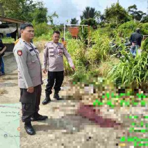 Sat Reskrim Bersama Polsek Purba Polres Simalungun Berhasil Ungkap Kasus Penganiayaan Berujung Meninggal Dunia