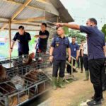 Kakanwil Ditjenpas Sumut Jalu Yuswa Panjang Laksanakan Kunjungan Kerja ke Lahan Ketahanan Pangan Rutan Tanjung Pura