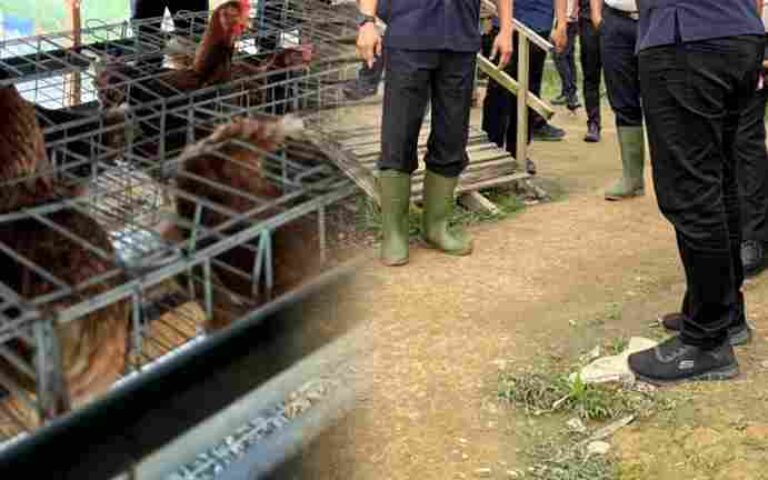 Kakanwil Ditjenpas Sumut Jalu Yuswa Panjang Laksanakan Kunjungan Kerja ke Lahan Ketahanan Pangan Rutan Tanjung Pura