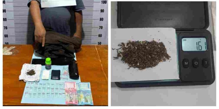 Nekat! Pengedar Narkoba di Toba Angkat Cangkul, Coba Serang Polisi saat Rumah Digeledah
